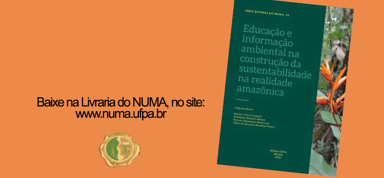Educação e informação ambiental na construção da sustentabilidade da realidade amazonica